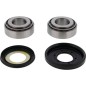 Kit roulements de colonne de direction ALL BALLS