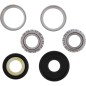Kit roulements de colonne de direction ALL BALLS