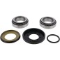 Kit roulements de colonne de direction ALL BALLS
