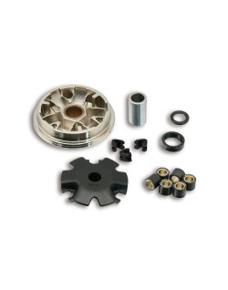 Variateur MALOSSI Multivar Honda 4T