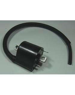Bobine d'allumage TOURMAX Suzuki SV1000 N/S