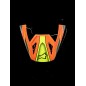 VISOR SM3 FRAY BLK/OR/YL