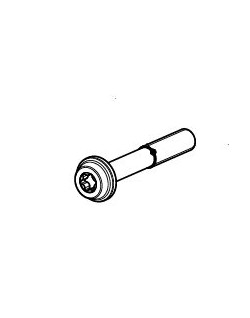 BOLT