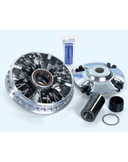 Variateur POLINI