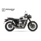 Silencieux IXIL Ironhead Conical (Droite + gauche)