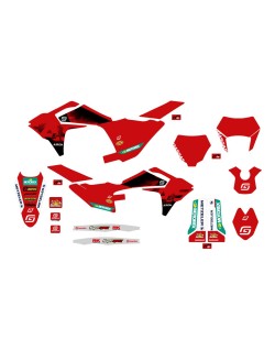 GRAPHIC KIT GASGAS FACTORY '25