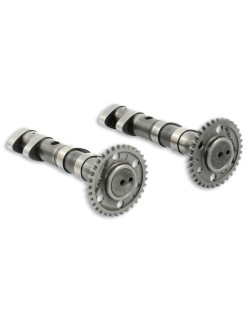 Arbre a cames MALOSSI Double Power - Yamaha T-Max 530