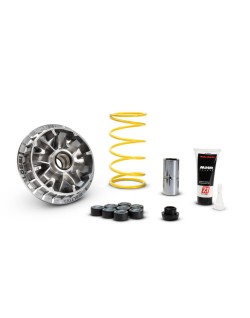 Variateur MALOSSI Multivar 2000