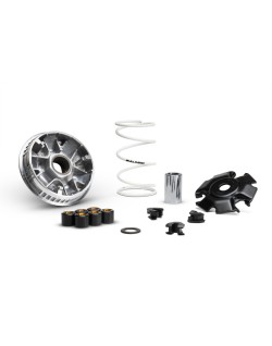 Variateur MALOSSI Multivar 2000