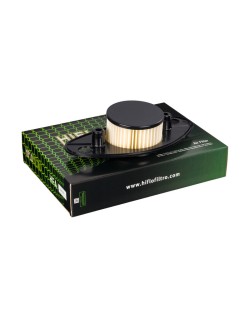 Filtre à air HIFLOFILTRO - HFA3807
