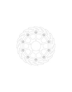 BRAKE DISC FLAME FRONT