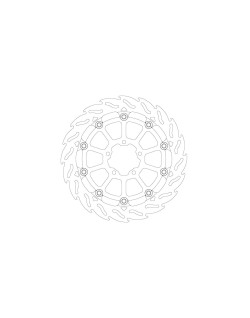 BRAKE DISC FLAME RACING FT R