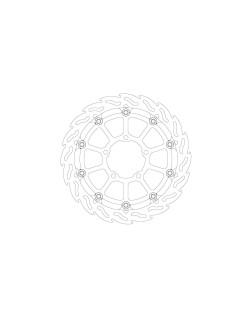 BRAKE DISC FLAME RACING FT R