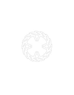 BRAKE DISC FLAME REAR