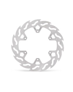 BRAKE DISC FLAME REAR