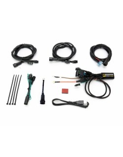 Faisceau DENALI CANsmart Plug-N-Play Gen II BMW K1600