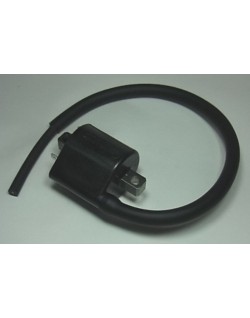 Bobine d'allumage TOURMAX Suzuki SV650 N/S