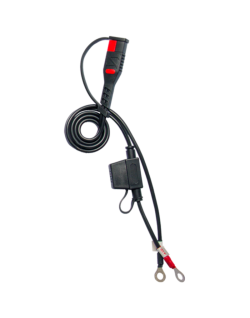 Chargeur de batterie pro-intelligent BS BATTERY BS60  - 12V 1/4/6A
