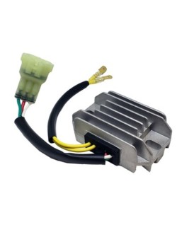 Régulateur DZE - 2569