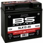 Batterie BS BATTERY SLA sans entretien activée usine - SLA12-20 Batterie BS BATTERY SLA sans entretien activée usine - SLA12-20