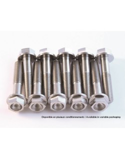 Kit vis titane SCAR M6x40 par 2