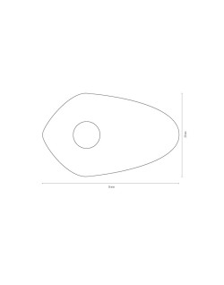 Plaques de montage SHIN YO Indy Spacer - Ducati Monster 696/796/1100/EVO