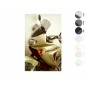 Bulle MRA Touring T - Honda XL650V Transalp Bulle MRA Touring T - Honda XL650V Transalp