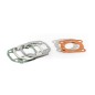 Joint haut-moteur MALOSSI