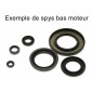 Jeu de joints spi CENTAURO