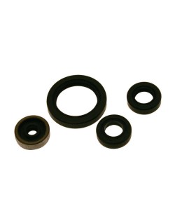 Jeu de joints spi CENTAURO