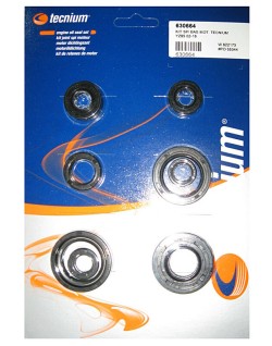 Jeu de joints spi moteur TECNIUM