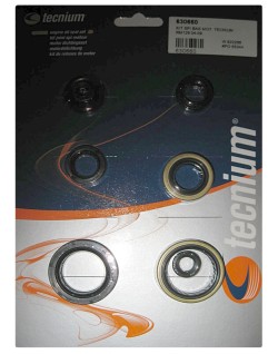 Jeu de joints spi moteur TECNIUM