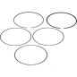 Segment VERTEX - 98,95 mm